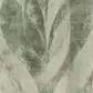 Цвет