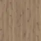 Цвет