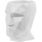 Цвет