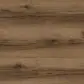 Цвет