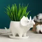 Цвет