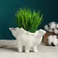 Цвет