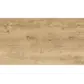 Цвет