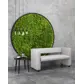 Цвет