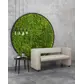 Цвет