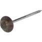 Цвет