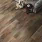 Цвет