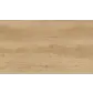 Цвет