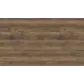 Цвет