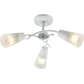 Цвет