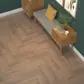 Цвет