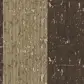 Цвет
