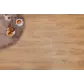 Цвет