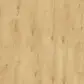 Цвет