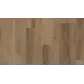 Цвет