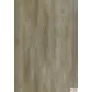 Цвет