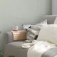 Цвет