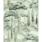Цвет