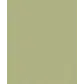 Цвет