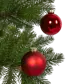 Цвет