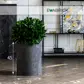 Цвет