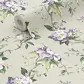 Цвет