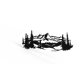 Цвет