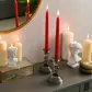 Цвет