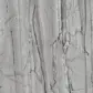 цвет