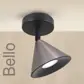 Цвет