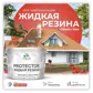 Цвет