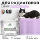 Цвет