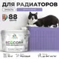 Цвет