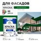 Цвет