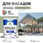 Цвет