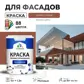 Цвет