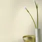 Цвет