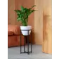 Цвет