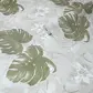 Цвет