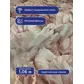 Цвет