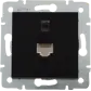Цвет