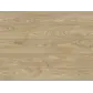 Цвет