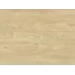 Цвет
