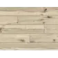 Цвет