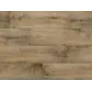 Цвет