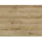 Цвет