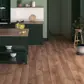 Цвет
