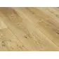 Цвет