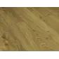 Цвет