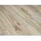 Цвет